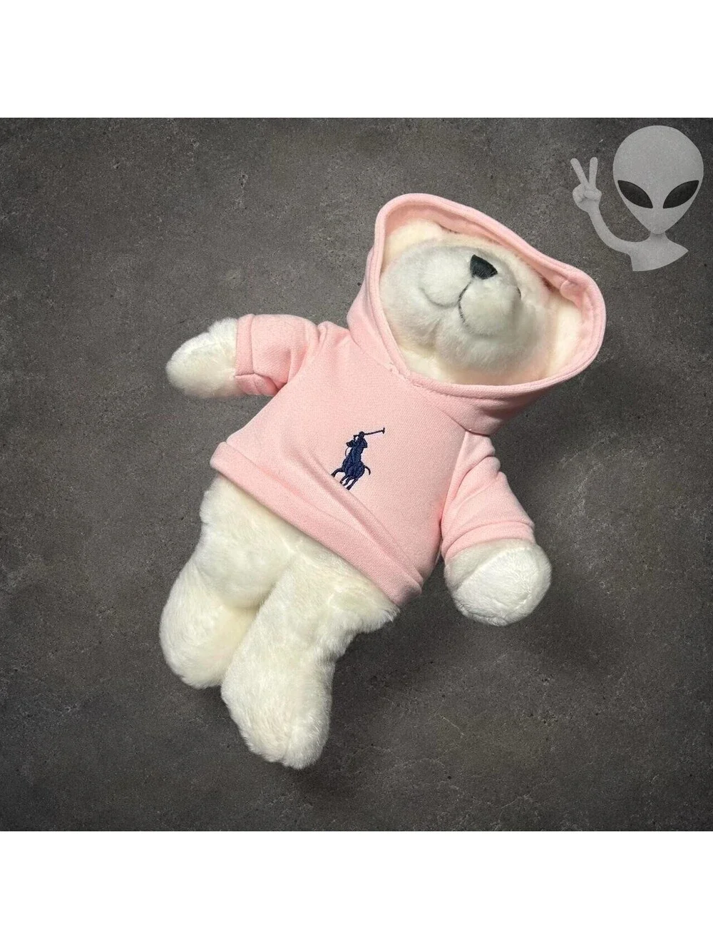 Ralph Lauren The Romance Bear Plush White Teddy Pink Big Pony Hoodie 14